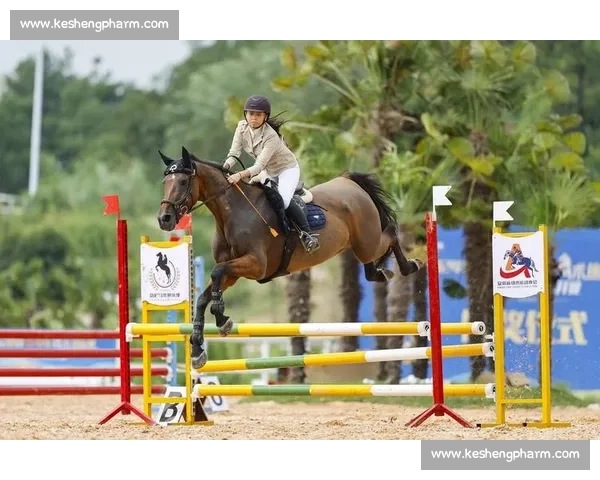 锦标赛落幕,教练支招青少年马术进阶